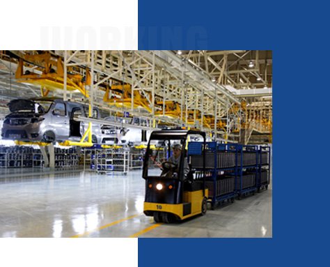 MS - ��ʨ����ᡤ�ٷ�(�й�)