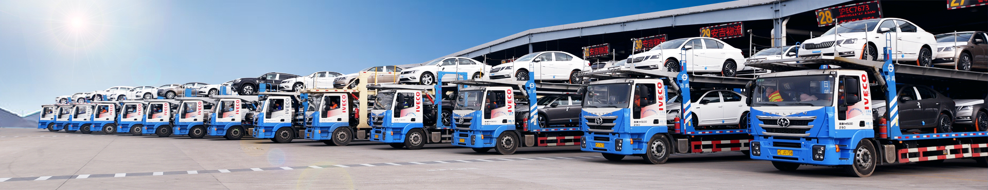 MS - ��ʨ����ᡤ�ٷ�(�й�)