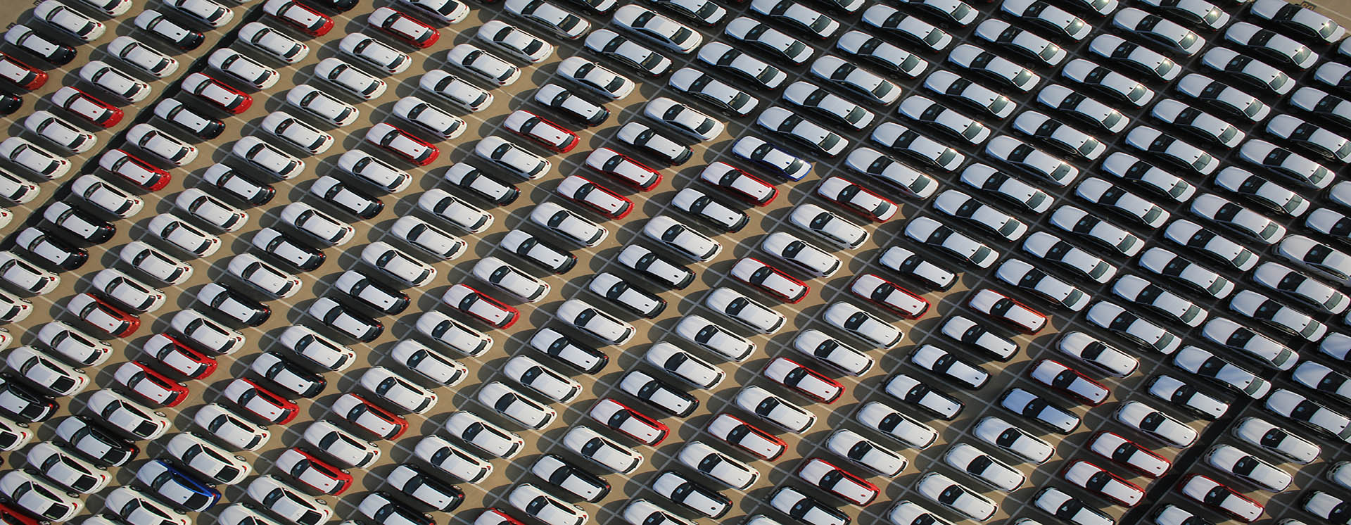 MS - ��ʨ����ᡤ�ٷ�(�й�)