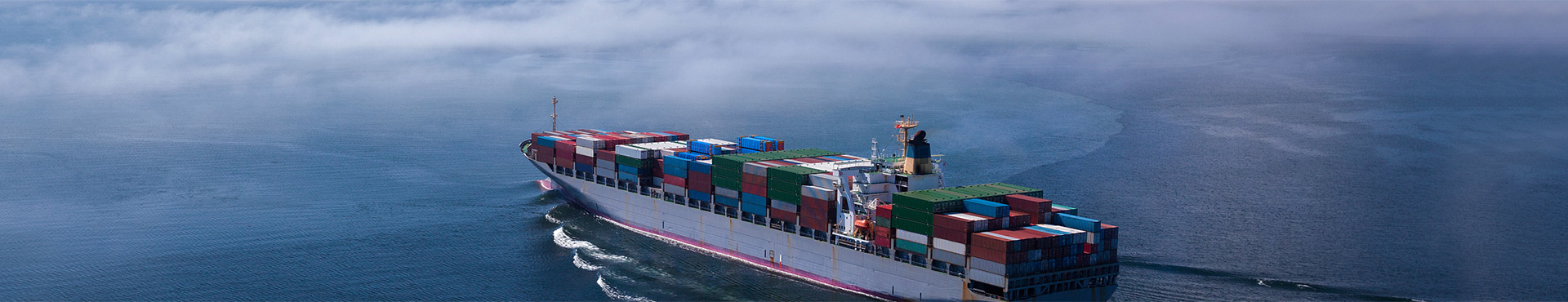 MS - ��ʨ����ᡤ�ٷ�(�й�)