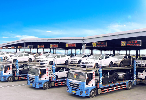 MS - ��ʨ����ᡤ�ٷ�(�й�)