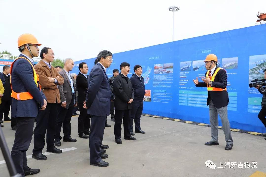 MS - ��ʨ����ᡤ�ٷ�(�й�)