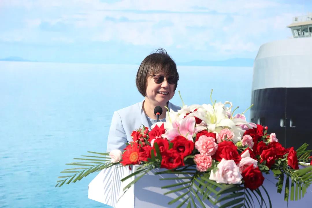 MS - ��ʨ����ᡤ�ٷ�(�й�)