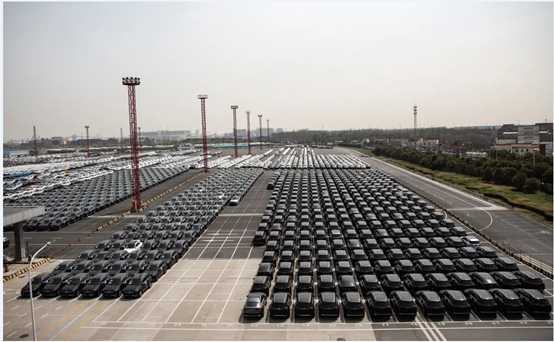 MS - ��ʨ����ᡤ�ٷ�(�й�)