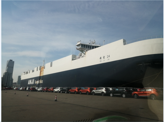 MS - ��ʨ����ᡤ�ٷ�(�й�)