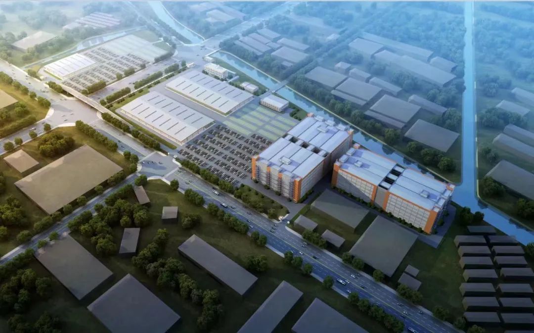 MS - ��ʨ����ᡤ�ٷ�(�й�)