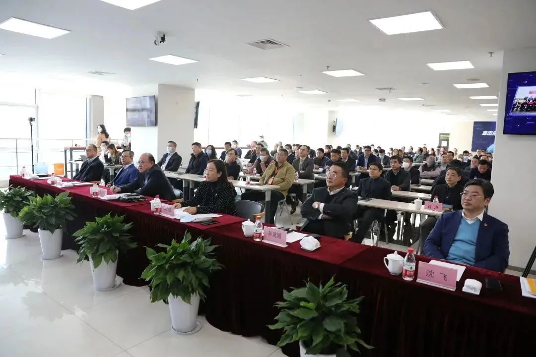 MS - ��ʨ����ᡤ�ٷ�(�й�)