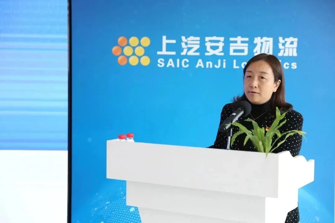 MS - ��ʨ����ᡤ�ٷ�(�й�)