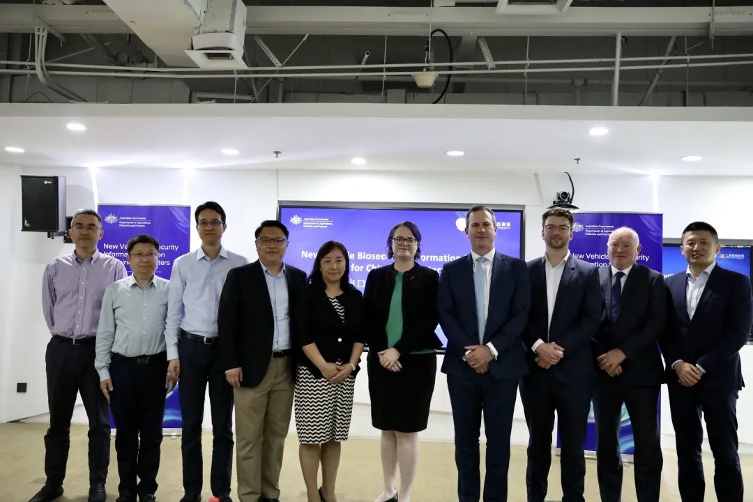 MS - ��ʨ����ᡤ�ٷ�(�й�)