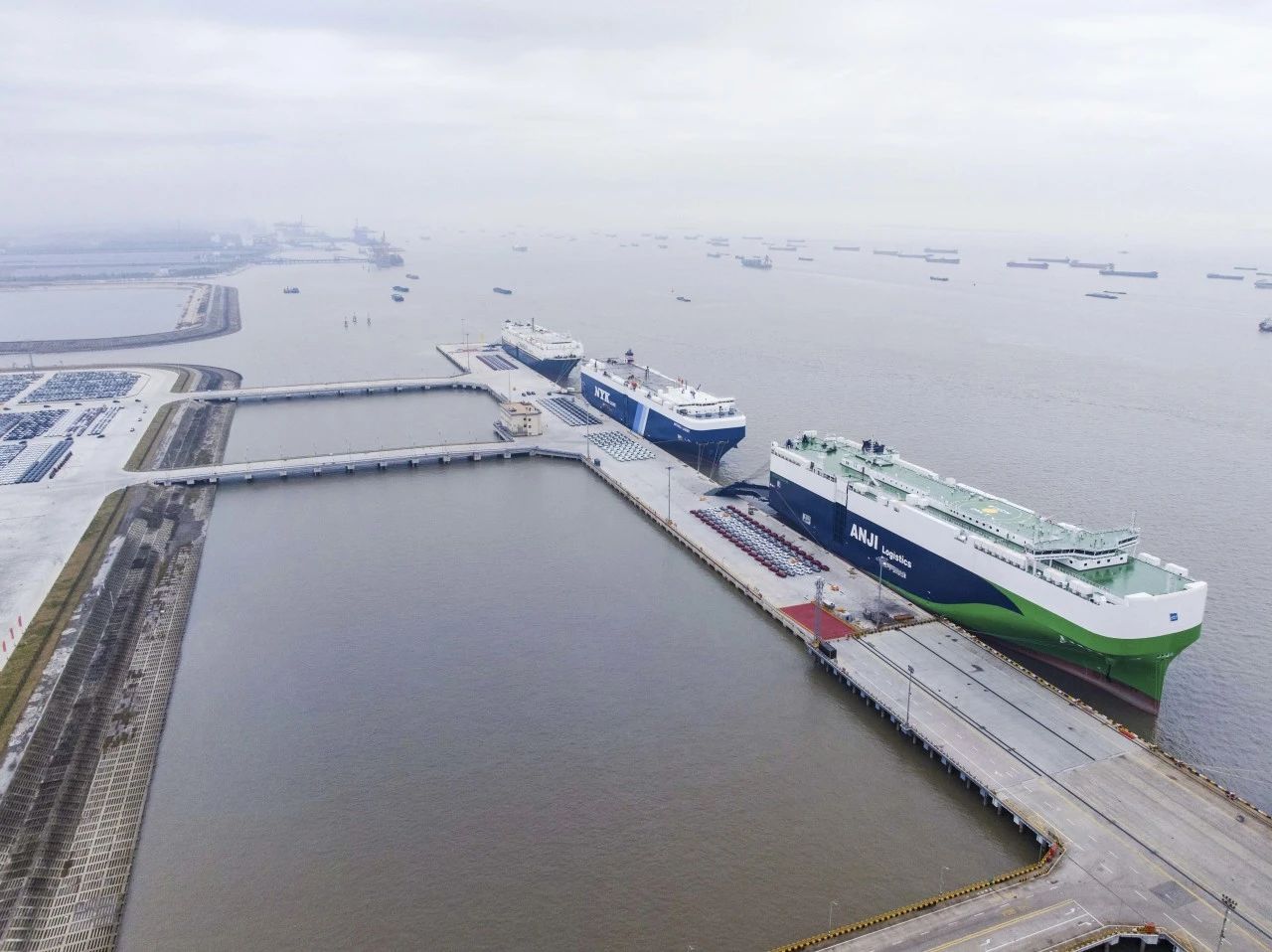 202412240223201368 MS - ÃÀʨ¹ó±ö»á¡¤¹Ù·½(Öйú)