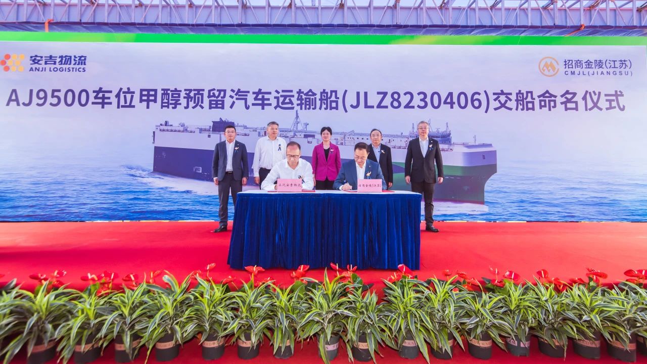 MS - ��ʨ����ᡤ�ٷ�(�й�)