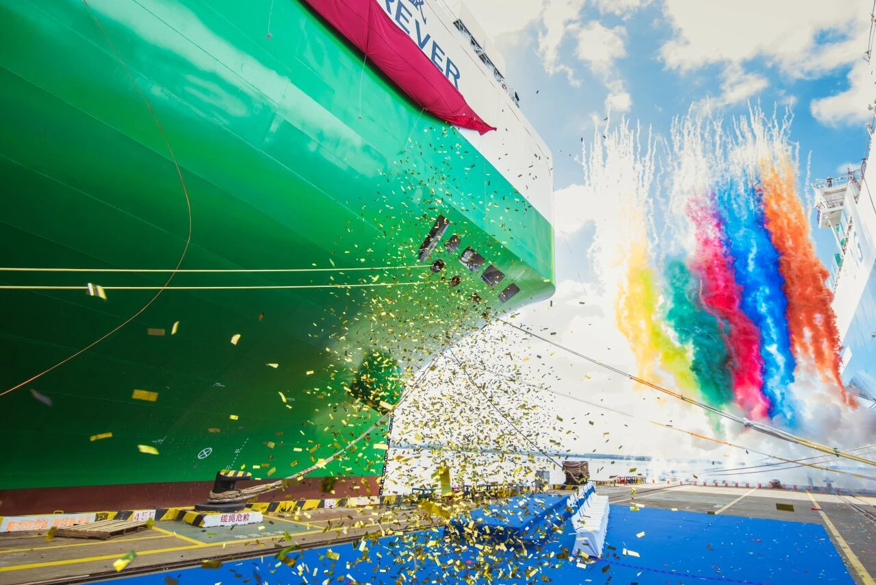 MS - ��ʨ����ᡤ�ٷ�(�й�)