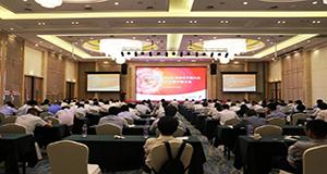 ����MS - ��ʨ������ٿ�2020�����иɲ����������Ҫ����Щ��