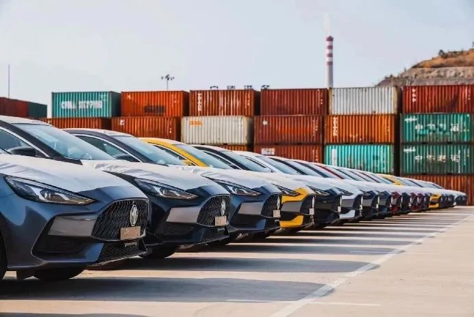 ����MS - ��ʨ�������Ŀ���������ȶ�ʽ����ʾ�����̡�